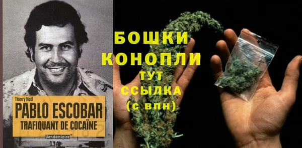 молекула духа Баксан