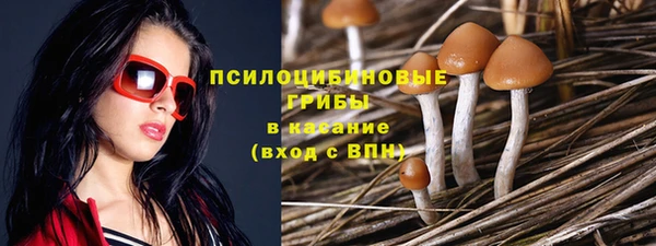 молекула духа Баксан
