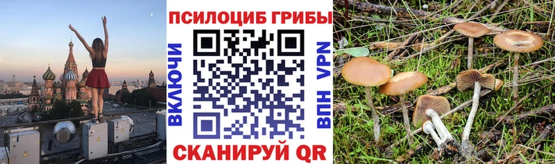 продажа наркотиков  Пойковский  Галлюциногенные грибы Magic Shrooms 